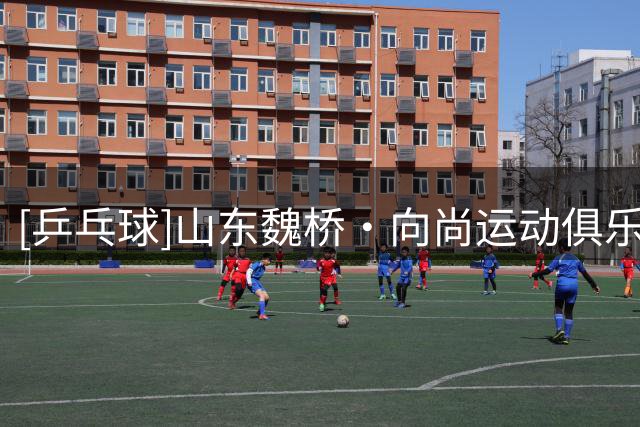 [乒乓球]山东魏桥·向尚运动俱乐部领跑男团积分榜